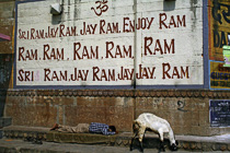 [ photo: Kashi, Darbhanga Ghat, Sri Ram Enjoy Ram, Varanasi, Uttar Pradesh, India, February 2010 (img 196-098close) ]
