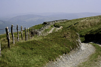 [ photo: Pastoral Track in Happy Valley (Cwm Maethlon), Gwynedd, Wales UK, June 2007 (img 140-008) ]