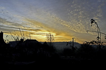 [ photo: Year End Dawn in Hazelbury Bryan, Dorset, England, UK, December 2005 (img 106-030) ]