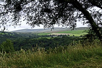 [ photo: Vista in Cwm Gwaun Valley, Pembrokeshire, Wales, UK, Aug 2010 (img 208-092) ]