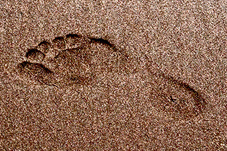 photo: footprint impression in the sand